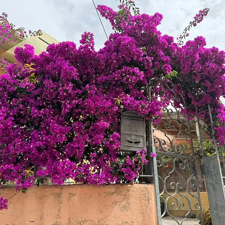 Villino Norsi ポルトフェッラーイオ