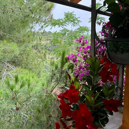 Villino Norsi * ポルトフェッラーイオ